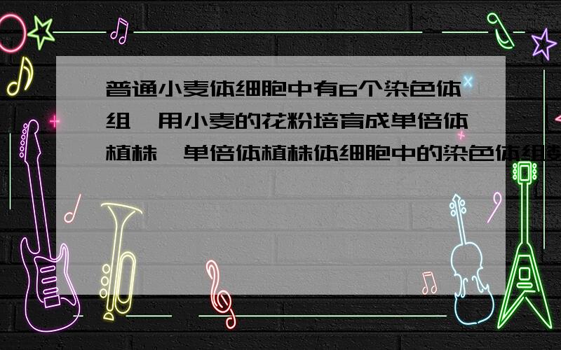 普通小麦体细胞中有6个染色体组,用小麦的花粉培育成单倍体植株,单倍体植株体细胞中的染色体组数是?