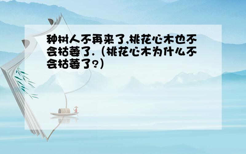 种树人不再来了,桃花心木也不会枯萎了.（桃花心木为什么不会枯萎了?）