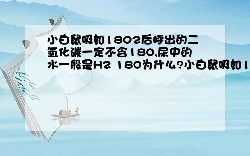 小白鼠吸如1802后呼出的二氧化碳一定不含18O,尿中的水一般是H2 18O为什么?小白鼠吸如1802后，尿中的水可以检测到是H2 18O 为什么