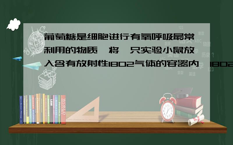 葡萄糖是细胞进行有氧呼吸最常利用的物质,将一只实验小鼠放入含有放射性18O2气体的容器内,18O2进葡萄糖是细胞进行有氧呼吸最常利用的物质.将一只实验小鼠放人含有放射性 18O2 气体的容