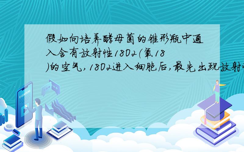 假如向培养酵母菌的锥形瓶中通入含有放射性18O2（氧18）的空气,18O2进入细胞后,最先出现放射性的化合物是    A丙酮酸    B乳酸   C水     D二氧化碳