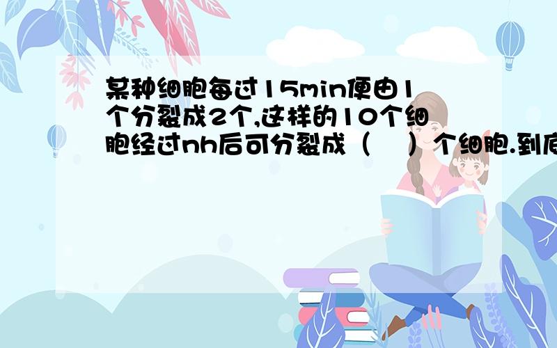 某种细胞每过15min便由1个分裂成2个,这样的10个细胞经过nh后可分裂成（    ）个细胞.到底谁对呀，我要过程。能讲给我听吗？