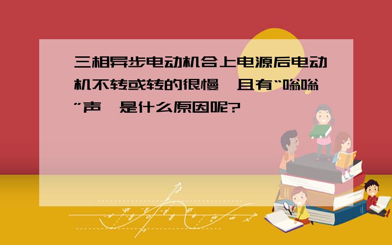 三相异步电动机合上电源后电动机不转或转的很慢,且有“嗡嗡”声,是什么原因呢?