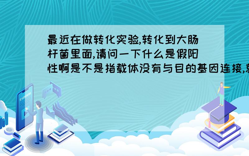 最近在做转化实验,转化到大肠杆菌里面,请问一下什么是假阳性啊是不是指载体没有与目的基因连接,就直接进行转化,如果是这样,在进行“蓝白斑”筛选时,原理是当外源片段插入到载体质粒