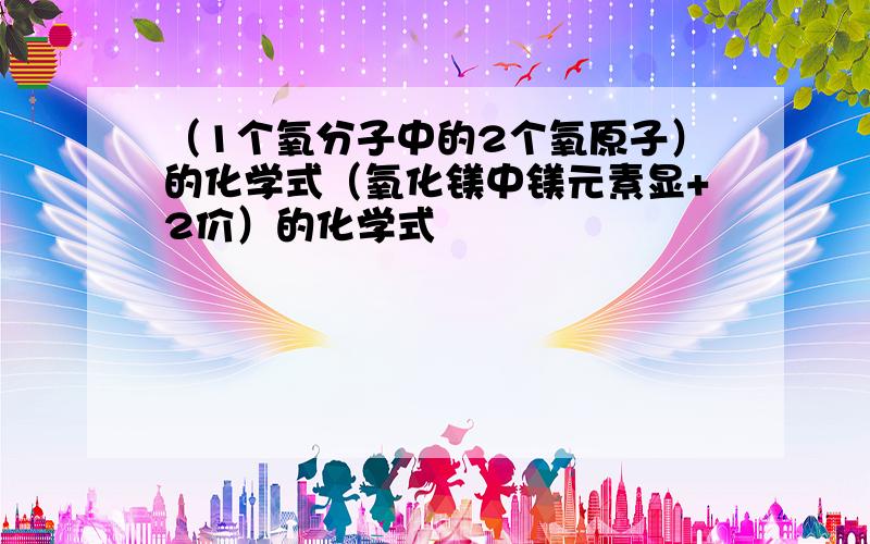 （1个氧分子中的2个氧原子）的化学式（氧化镁中镁元素显+2价）的化学式