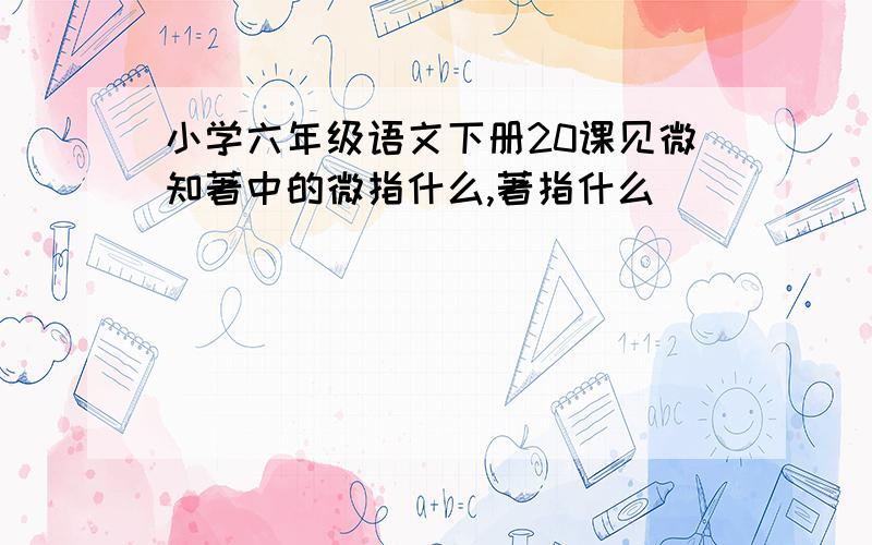 小学六年级语文下册20课见微知著中的微指什么,著指什么