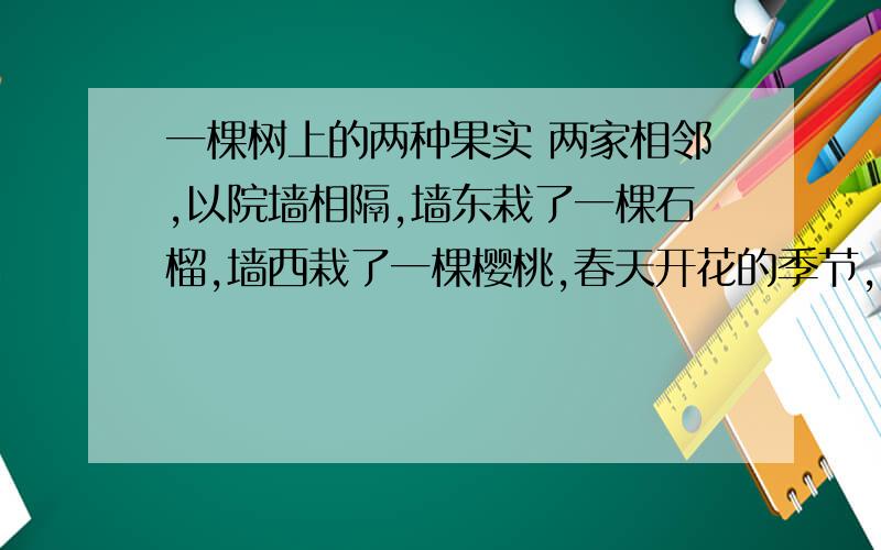 一棵树上的两种果实 两家相邻,以院墙相隔,墙东栽了一棵石榴,墙西栽了一棵樱桃,春天开花的季节,姹紫嫣红,分外妖娆.两家经常坐在各自的树下乘凉、吃饭,因为有了两棵树,他们的生活五彩缤