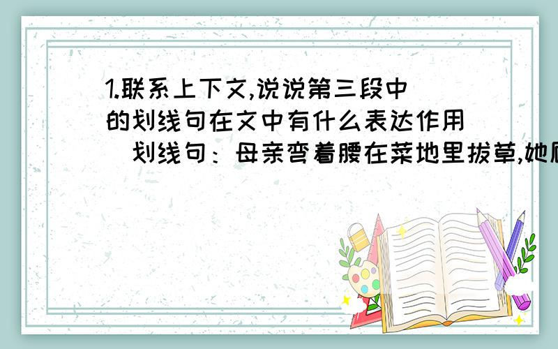 1.联系上下文,说说第三段中的划线句在文中有什么表达作用（划线句：母亲弯着腰在菜地里拔草,她顾不得拢一拢在额前的发丝——母亲精心伺弄这块菜地,指望用它换来油盐酱醋,联通我们的