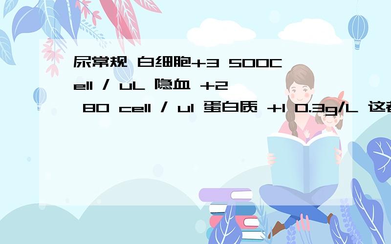 尿常规 白细胞+3 500Cell / uL 隐血 +2 80 cell / ul 蛋白质 +1 0.3g/L 这都说明些什么问题