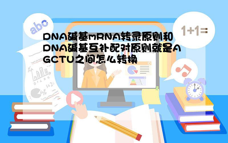 DNA碱基mRNA转录原则和DNA碱基互补配对原则就是AGCTU之间怎么转换