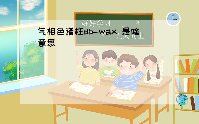 气相色谱柱db-wax 是啥意思