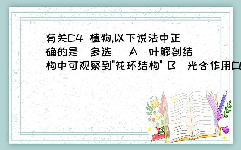 有关C4 植物,以下说法中正确的是(多选) A．叶解剖结构中可观察到