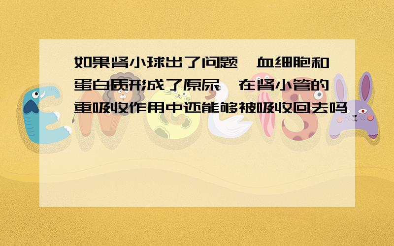 如果肾小球出了问题,血细胞和蛋白质形成了原尿,在肾小管的重吸收作用中还能够被吸收回去吗