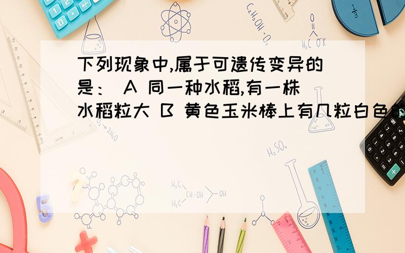 下列现象中,属于可遗传变异的是： A 同一种水稻,有一株水稻粒大 B 黄色玉米棒上有几粒白色的玉米粒C 同一棵树上,有的苹果大,有的苹果小D 粒大饱满的花生米种下去,长出的花生却不大