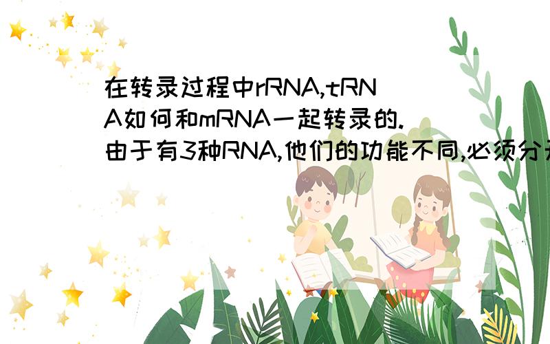 在转录过程中rRNA,tRNA如何和mRNA一起转录的.由于有3种RNA,他们的功能不同,必须分开,而他们在一条多肽上合成,在真核生物中他们转录后怎么分开的,