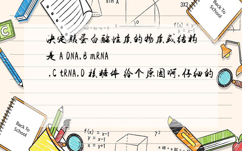 决定胰蛋白酶性质的物质或结构是 A DNA,B mRNA ,C tRNA,D 核糖体 给个原因啊,仔细的