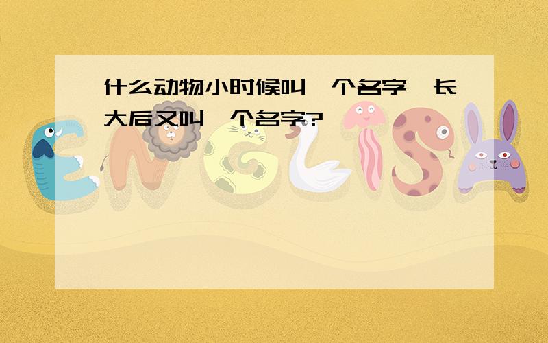 什么动物小时候叫一个名字,长大后又叫一个名字?