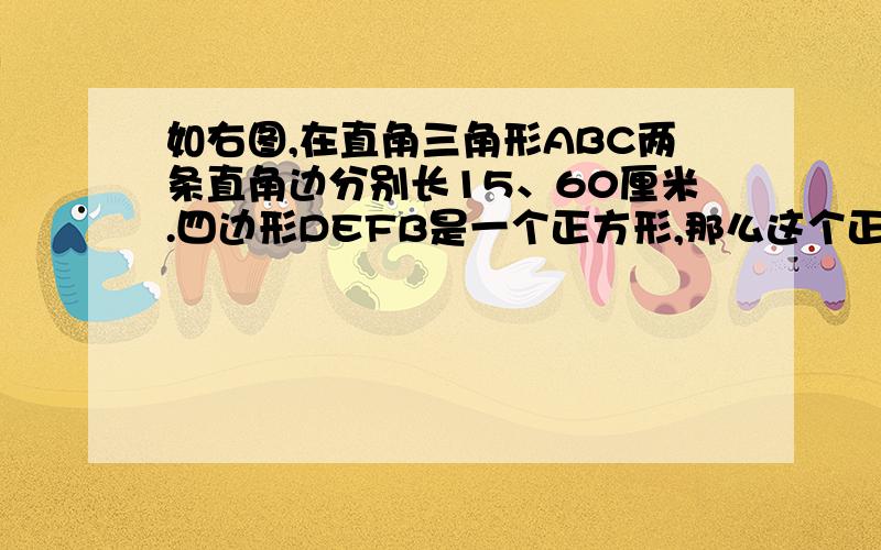 如右图,在直角三角形ABC两条直角边分别长15、60厘米.四边形DEFB是一个正方形,那么这个正方形面积是多少