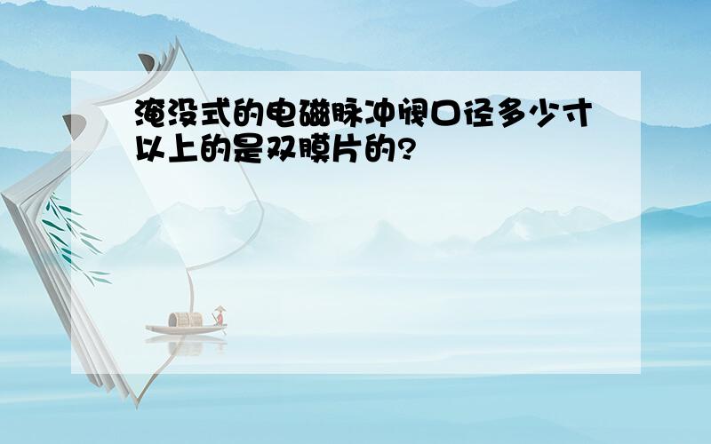 淹没式的电磁脉冲阀口径多少寸以上的是双膜片的?