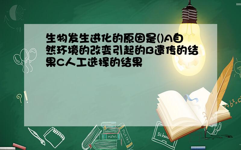 生物发生进化的原因是()A自然环境的改变引起的B遗传的结果C人工选择的结果