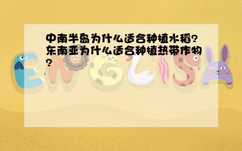 中南半岛为什么适合种植水稻?东南亚为什么适合种植热带作物?