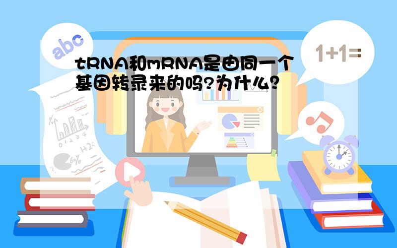 tRNA和mRNA是由同一个基因转录来的吗?为什么？