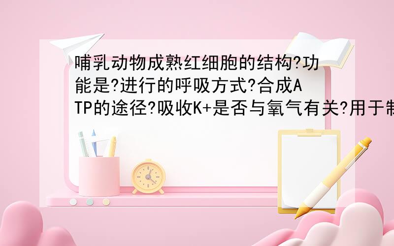 哺乳动物成熟红细胞的结构?功能是?进行的呼吸方式?合成ATP的途径?吸收K+是否与氧气有关?用于制备?