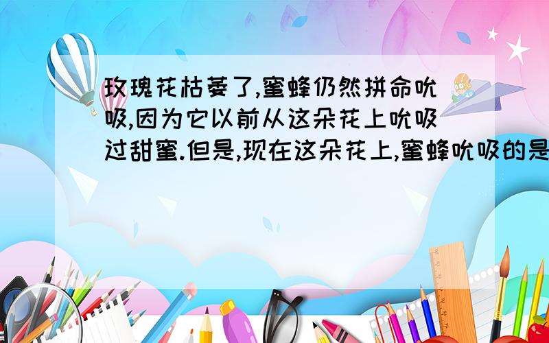 玫瑰花枯萎了,蜜蜂仍然拼命吮吸,因为它以前从这朵花上吮吸过甜蜜.但是,现在这朵花上,蜜蜂吮吸的是毒汁.蜜蜂知道这一点,因为毒汁苦涩,与以前的味道有天壤之别.于是,蜜蜂愤愤不平,它吸