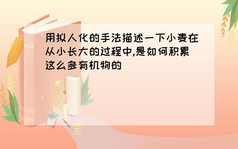 用拟人化的手法描述一下小麦在从小长大的过程中,是如何积累这么多有机物的