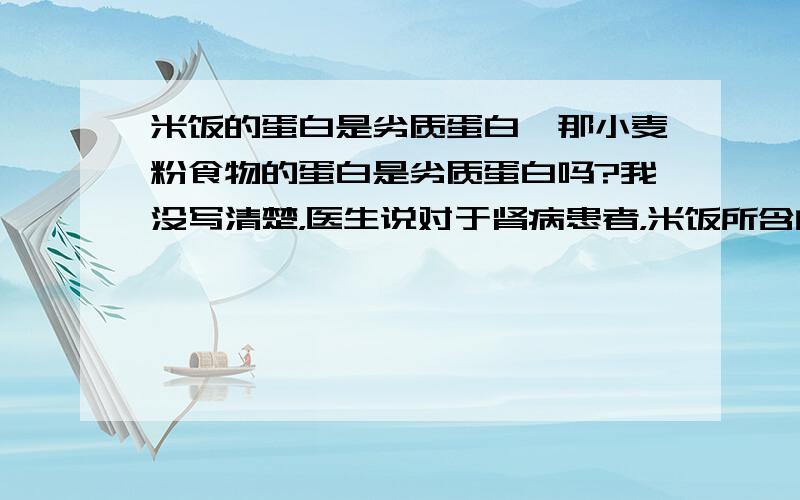 米饭的蛋白是劣质蛋白,那小麦粉食物的蛋白是劣质蛋白吗?我没写清楚，医生说对于肾病患者，米饭所含的蛋白，植物蛋白不易被吸收消化，多吃会增加肾脏负担，是劣质蛋白。所以我只想