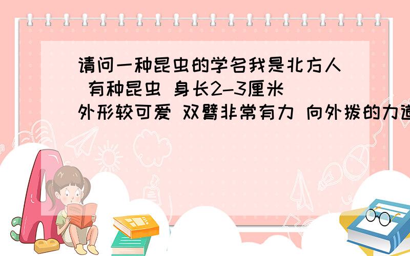 请问一种昆虫的学名我是北方人 有种昆虫 身长2-3厘米 外形较可爱 双臂非常有力 向外拨的力道很足 抓起握在手里拨得你手指缝很难受 不会跳只会奔跑 能鸣叫 我们家乡叫它地喇叭