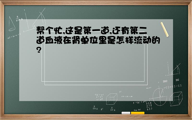 帮个忙,这是第一道,还有第二道血液在肾单位里是怎样流动的?