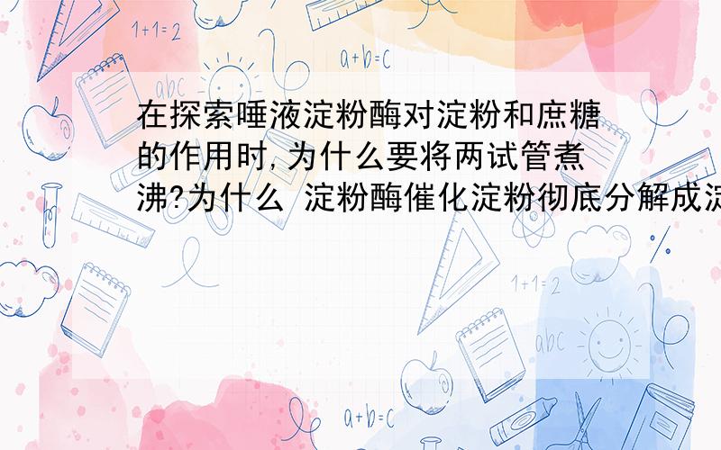 在探索唾液淀粉酶对淀粉和庶糖的作用时,为什么要将两试管煮沸?为什么 淀粉酶催化淀粉彻底分解成淀粉酶催化淀粉彻底分解成葡萄糖这句话是错的？