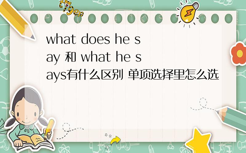 what does he say 和 what he says有什么区别 单项选择里怎么选