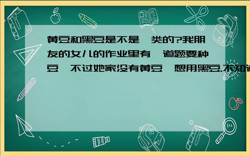 黄豆和黑豆是不是一类的?我朋友的女儿的作业里有一道题要种豆,不过她家没有黄豆,想用黑豆.不知道黄豆和黑豆有没有区别?