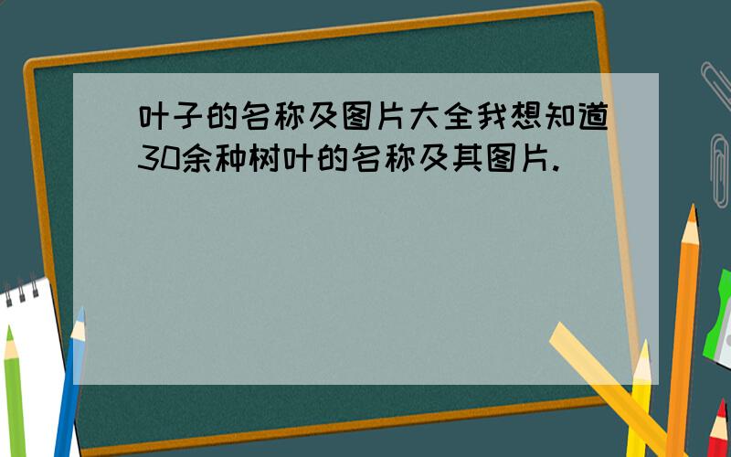 叶子的名称及图片大全我想知道30余种树叶的名称及其图片.