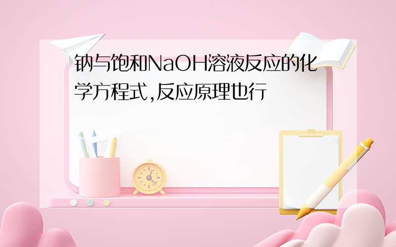 钠与饱和NaOH溶液反应的化学方程式,反应原理也行