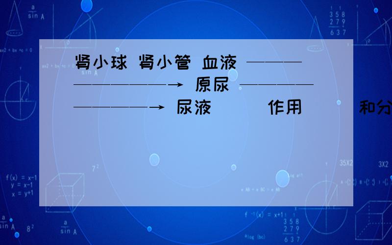 肾小球 肾小管 血液 ————————→ 原尿 ————————→ 尿液 （ ）作用 （ ）和分泌作用