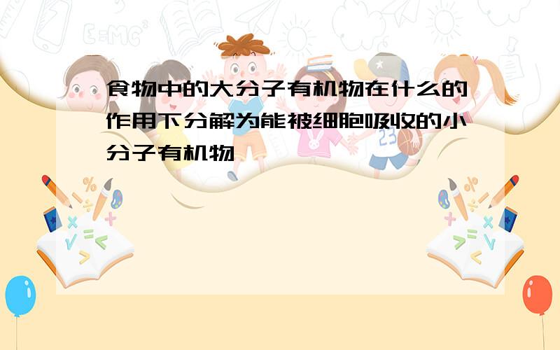 食物中的大分子有机物在什么的作用下分解为能被细胞吸收的小分子有机物