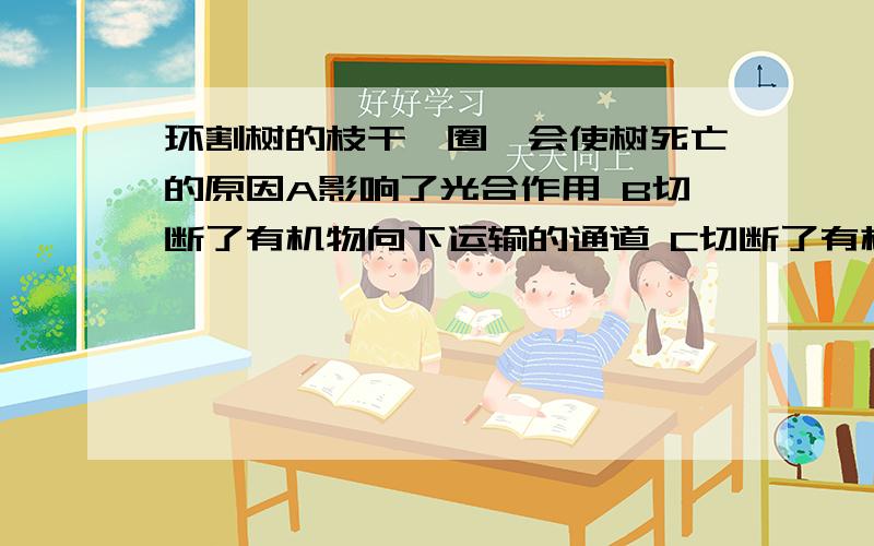 环割树的枝干一圈,会使树死亡的原因A影响了光合作用 B切断了有机物向下运输的通道 C切断了有机物向上运输的通道 D切断了水和无机盐向上运输的通道个人觉得是D,到底什么是正确答案?原