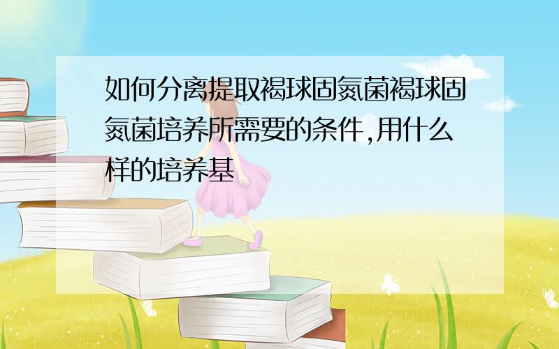 如何分离提取褐球固氮菌褐球固氮菌培养所需要的条件,用什么样的培养基