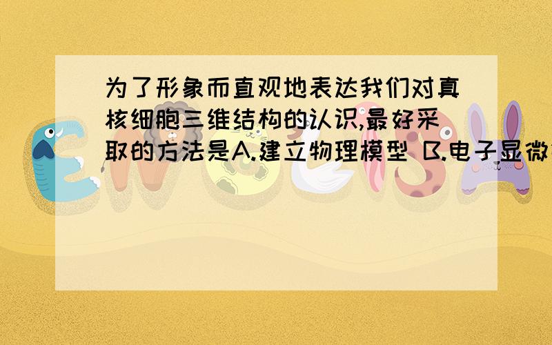 为了形象而直观地表达我们对真核细胞三维结构的认识,最好采取的方法是A.建立物理模型 B.电子显微镜观察 C.建立数学模型 D.建立概念模型要解释