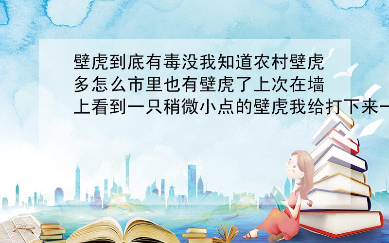 壁虎到底有毒没我知道农村壁虎多怎么市里也有壁虎了上次在墙上看到一只稍微小点的壁虎我给打下来一下踩成一摊水了好担心还会进来有毒吗能摸不能我看的有的说没毒还说是好虫子有的