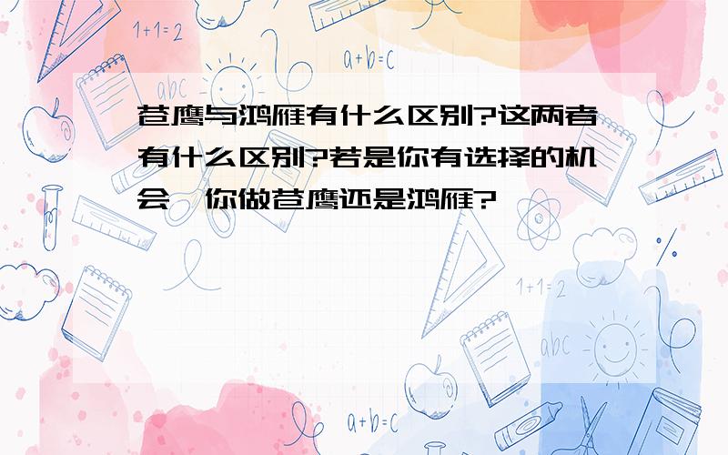 苍鹰与鸿雁有什么区别?这两者有什么区别?若是你有选择的机会,你做苍鹰还是鸿雁?