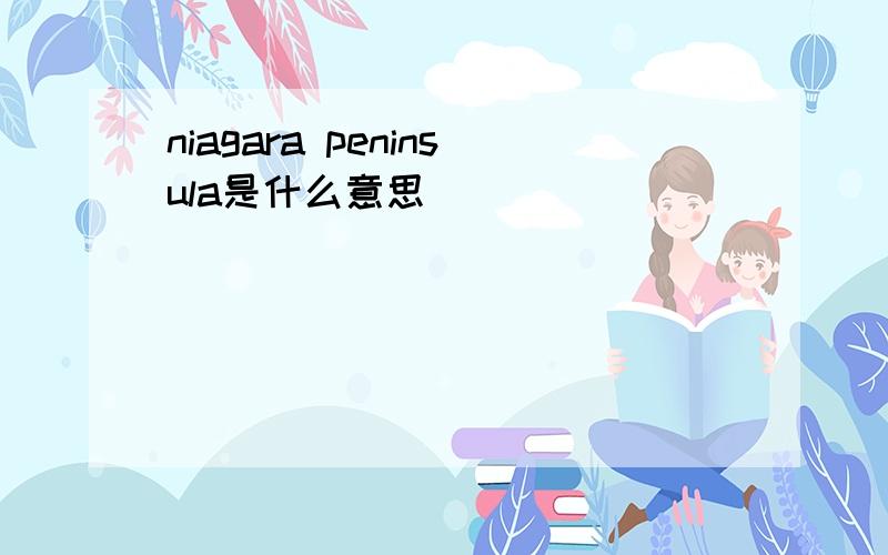 niagara peninsula是什么意思