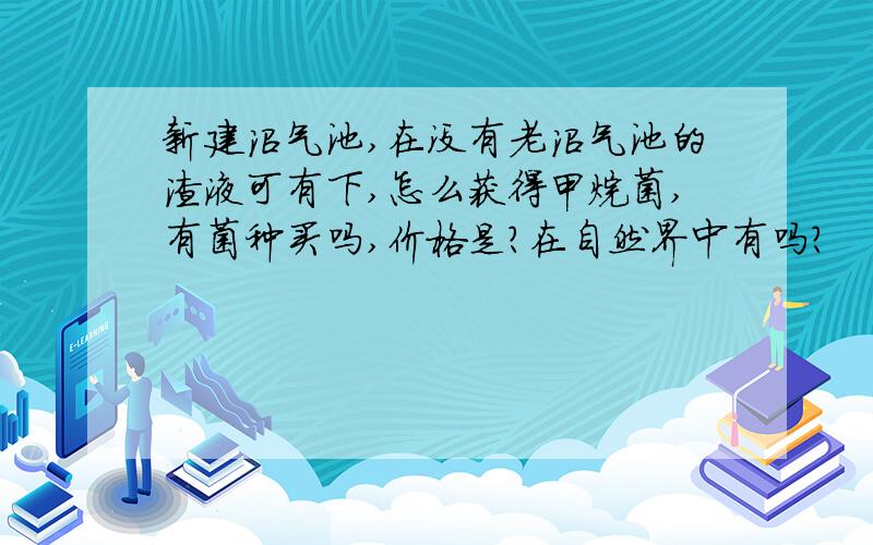 新建沼气池,在没有老沼气池的渣液可有下,怎么获得甲烷菌,有菌种买吗,价格是?在自然界中有吗?