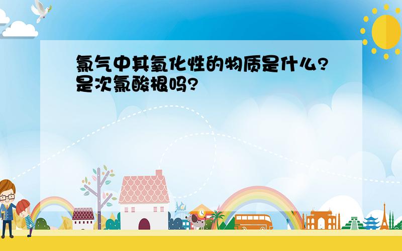 氯气中其氧化性的物质是什么?是次氯酸根吗?