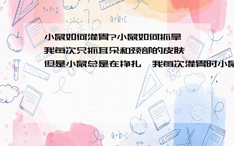 小鼠如何灌胃?小鼠如何抓拿,我每次只抓耳朵和颈部的皮肤,但是小鼠总是在挣扎,我每次灌胃时小鼠都拼命的用爪子把灌胃针向外拔,当进针2CM左右就有阻力,次次这样,请高手指点一下