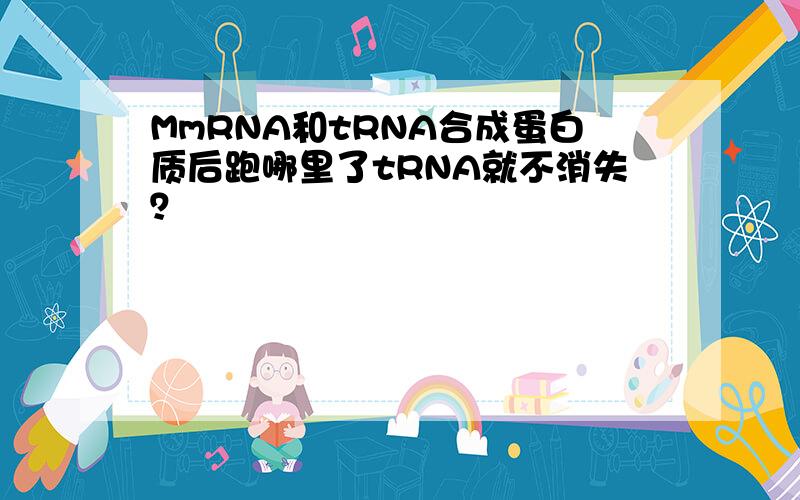 MmRNA和tRNA合成蛋白质后跑哪里了tRNA就不消失？