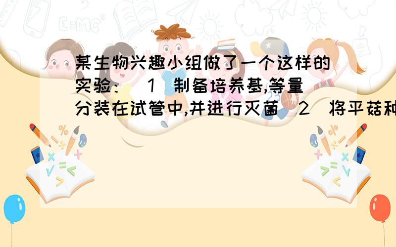 某生物兴趣小组做了一个这样的实验：（1）制备培养基,等量分装在试管中,并进行灭菌（2）将平菇种经无菌操作,等量接种到培养基中.一个为对照组,另一个为实验组,实验组中间放入磁铁,并